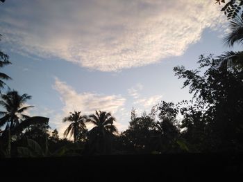 Silhouette palm trees on field against sky at sunset