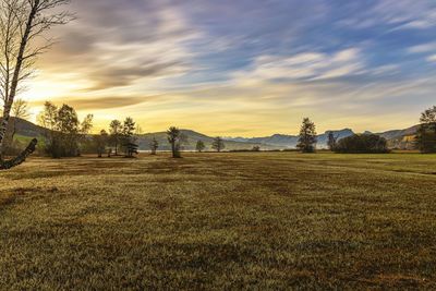 Scenic view of field against sky during sunset