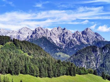 Pine trees on snowcapped mountains against sky