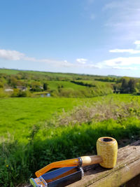 Scenic view of farm against sky