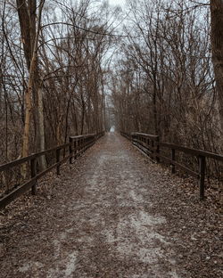 Empty road along bare trees