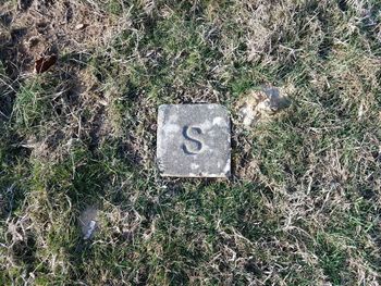 High angle view of stone on field