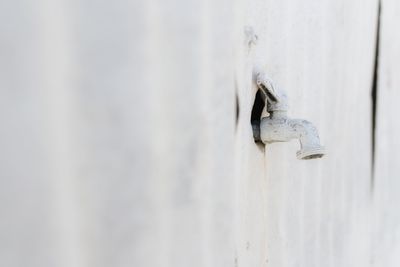 Close-up of water tap against white wall in minimalist atmosphere