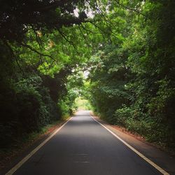 Empty road amidst trees in forest