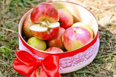 High angle view of apples in bowl on field