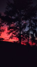 Silhouette trees against sky during sunset