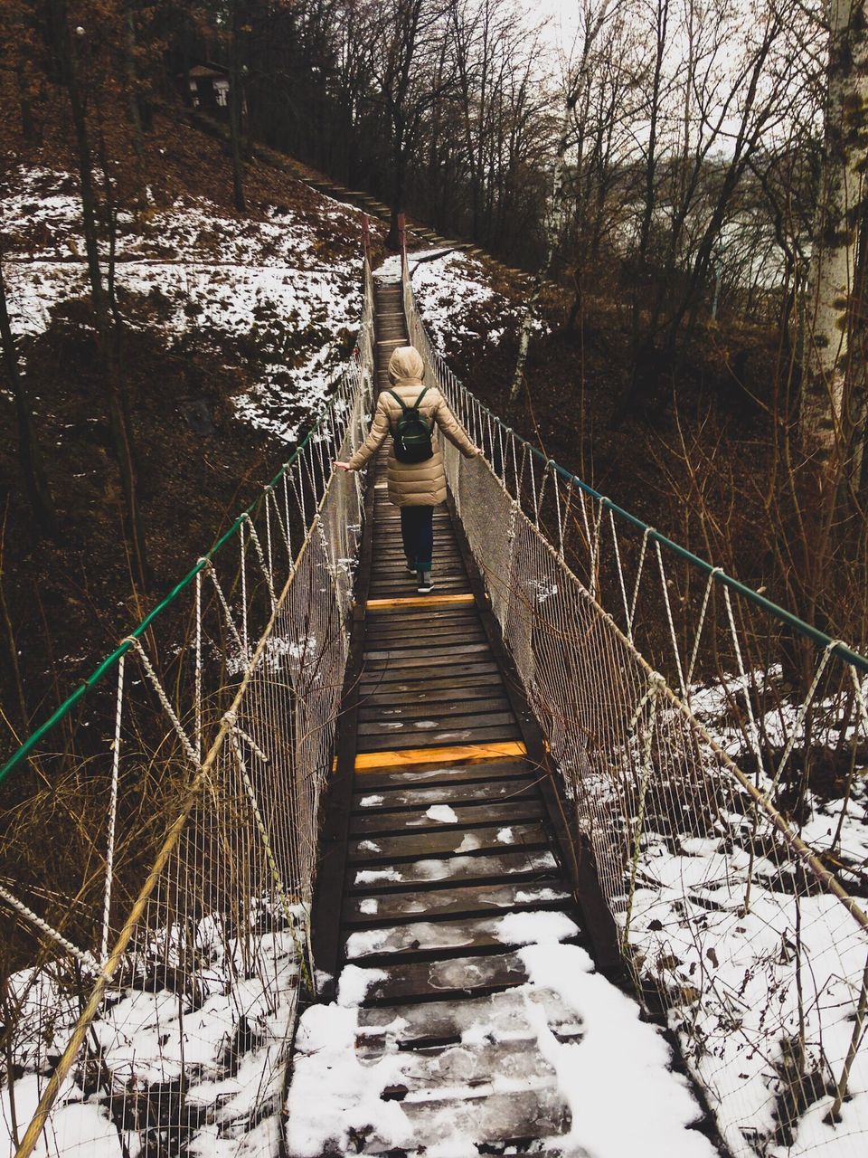 tree, bare tree, the way forward, railing, season, footbridge, built structure, winter, branch, connection, snow, bridge - man made structure, tranquility, nature, architecture, forest, cold temperature, day, outdoors, diminishing perspective