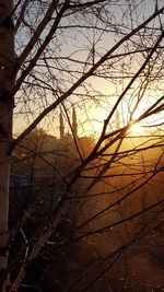 Low angle view of silhouette bare trees against sky at sunset