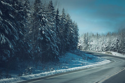 Snow covered landscape