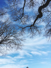 Low angle view of bare tree against sky