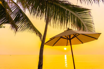 Palm tree by sea against sky at sunset