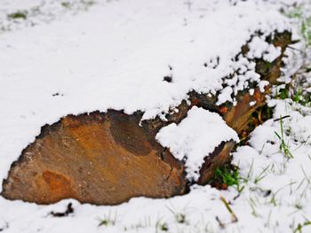 Close-up of snow on field