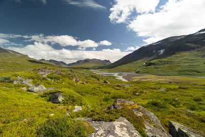 A beautiful summer landscape of sarek national park with river. wild scenery of northern europe.