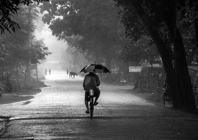 Rear view of man holding umbrella while riding bicycle on road during rainy season