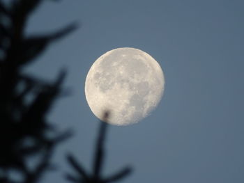 Low angle view of moon against sky at night