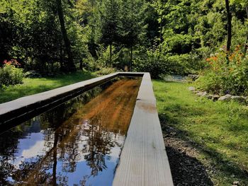 Footbridge over lake amidst trees in forest