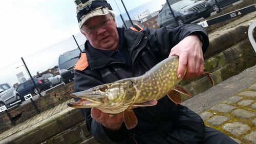 Portrait of man holding fish sitting on footpath in city