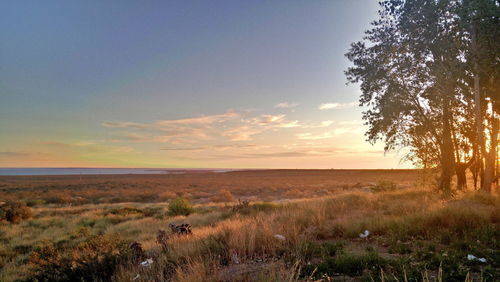 Scenic view of landscape against sky at sunset