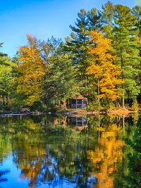 Scenic view of lake by trees during autumn