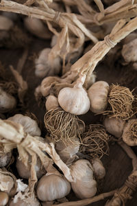 Close-up of garlic bulbs