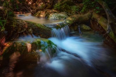 Scenic view of waterfall in forest