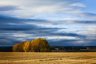 Scenic view of field against cloudy sky