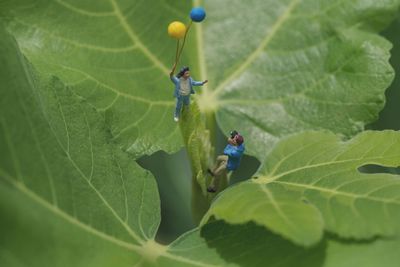 Macro shot of figurines on leaf