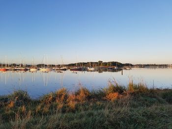 Scenic view of lake against clear blue sky