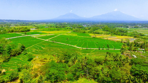 High angle view of agricultural field against sky