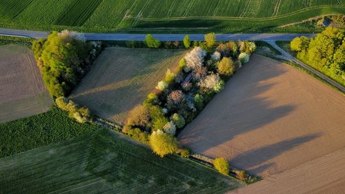 High angle view of field road