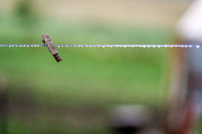 Close-up of water on clothes line