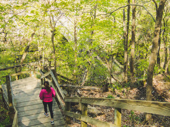 Rear view of woman walking in forest