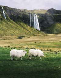 Mountain and waterfall