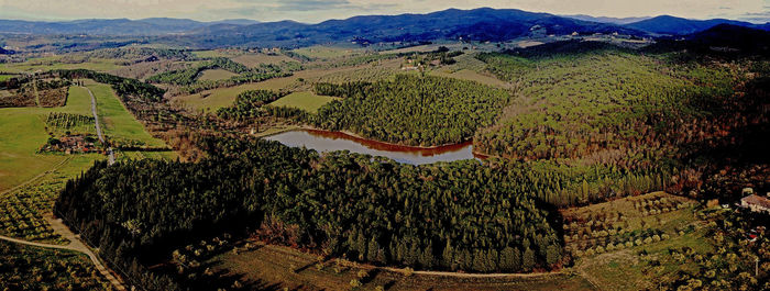 High angle view of plants growing on field