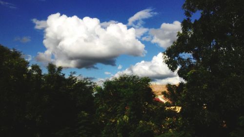 Low angle view of trees against cloudy sky