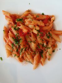 High angle view of chopped vegetables in plate