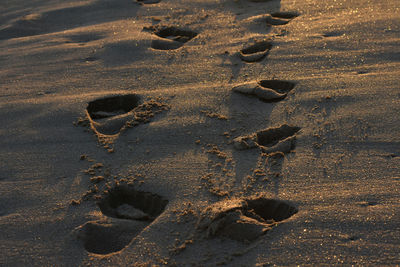 High angle view of footprints on sand at beach