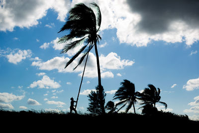 Silhouette of man harvesting coconuts against cloudy sky