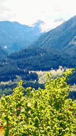 Scenic view of field by mountains against sky