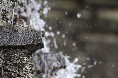 Close-up of water splashing on rocks