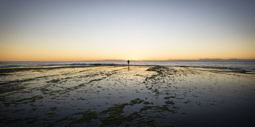 Scenic view of beach at sunset