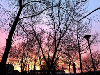 Low angle view of silhouette bare trees against sky