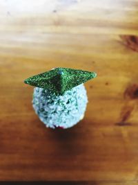 Close-up of leaf on table