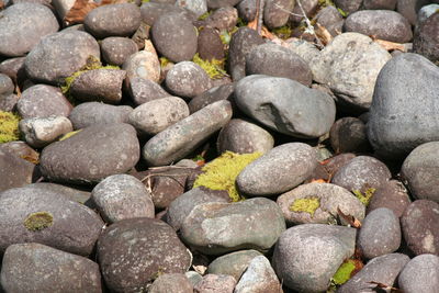 Full frame shot of pebbles on beach