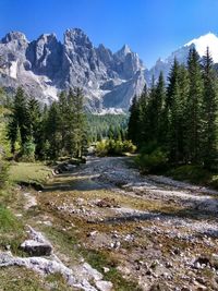 Scenic view of trees and mountains against sky