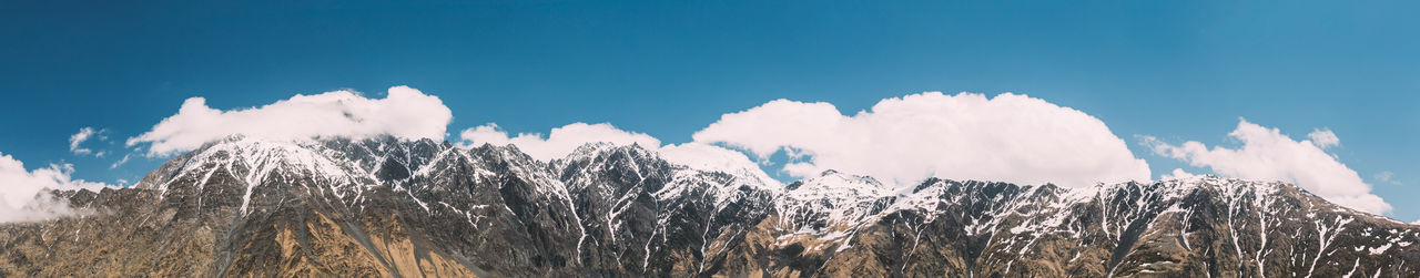 Panoramic view of pine trees against sky