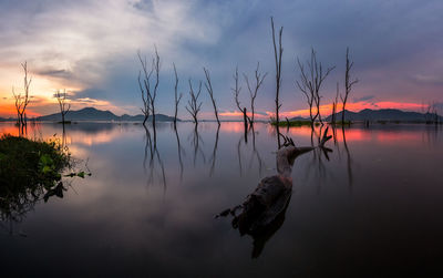 Dead trees in lake against sky during sunset