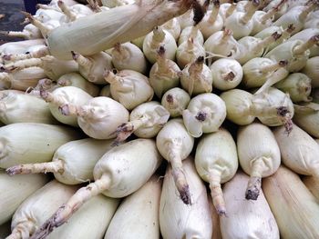 Full frame shot of sweetcorn for sale at market stall