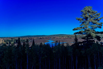 Trees in front of lake against blue sky