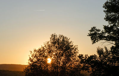 Low angle view of silhouette trees against sky during sunset